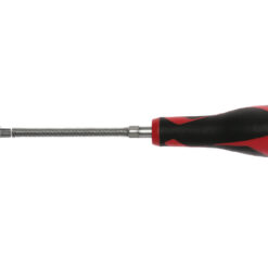 TENGTOOLS Screwdriver (TX25x100mm)