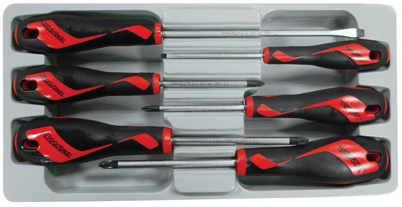 TENGTOOLS Screwdriver Set (6 Piece)